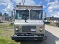 A silver 2007 Morgan Olson Workhorse W42 delivery truck with a flat front and large windshield parked on a road