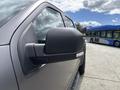 2019 Ford F-150 side mirror with a black casing and integrated turn signal visible