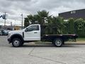 A white 2023 Ford F-450 Super Duty flatbed truck with a palm tree loaded on the back