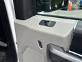 Close-up of the driver's side door panel of a 2017 Ford F-150 showing the window control switch and speaker grille