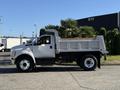 A white 2017 Ford F-650 Super Duty dump truck with a metal bed and palm trees in the cargo area displayed from the side
