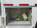 A bright green stroller is folded and placed inside a storage compartment of a white vehicle