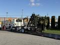 A white 2017 International 4300 truck with a flatbed trailer displaying a palm tree and equipment mounted on the back