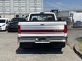 A white 1995 Ford F-250 truck viewed from the rear with a red stripe across the tailgate and the word FORD prominently displayed