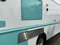 A turquoise and white 2020 Freightliner MT45 food truck with a side window and a silver metallic panel on the lower section of the vehicle's side