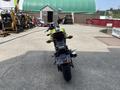A 2018 Honda Grom motorcycle seen from the rear with a bright green color and compact design showcasing its dual exhaust and modern features