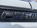 Close-up of the chrome F-250 Super Duty badge on a 2014 Ford F-250 SD