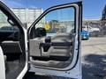 Interior view of a 2019 Ford F-150 driver's door showing handle controls and armrest