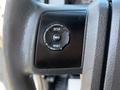 Close-up of a steering wheel button panel featuring buttons labeled SETUP INFO and RESET