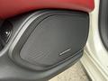 Close-up of a black Harman Kardon speaker grille in a vehicle door panel with red leather accents