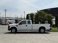 A white 2008 Ford F-250 SD pickup truck is parked with a palm tree in the truck bed