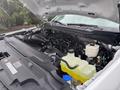 2023 Ford F-450 Super Duty engine with visible components including a large air intake hose and several fluid reservoirs in a well-organized layout