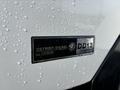 Close-up of a 2013 Freightliner 114SD badge displaying "Detroit Diesel DD13 BlueTec" covered in water droplets