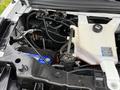 Engine compartment of a 2013 Chevrolet Express showing various components including a reservoir and battery with visible wiring and hoses