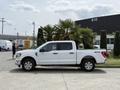 A white 2021 Ford F-150 truck is parked with palm trees visible in the bed and four doors with a glossy finish