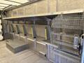 A 2012 Ford Econoline interior with metal shelves and a wire cage on the right side