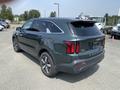 A 2022 Kia Sorento in green with a sleek design featuring a rear view showing its taillights and the model name
