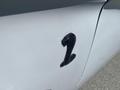 A close-up of a black snake emblem on the side of a silver 1962 Ford 2WHDR