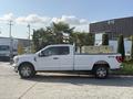 A 2021 Ford F-150 pickup truck with a white exterior and chrome wheels parked beside a trailer and palm trees
