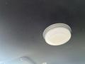 A round ceiling light fixture mounted on the interior ceiling of a 2017 Dodge Charger
