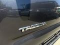 A close-up of the chrome "TACOMA" emblem on the rear of a 2010 Toyota Tacoma
