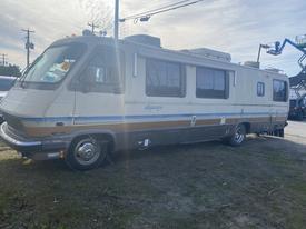 A beige 1987 Chevrolet Fleetwood Pace Arrow RV with a sleek design and large windows parked on grass