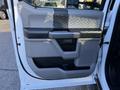 The image shows the interior door panel of a 2020 Ford F-350 featuring a handle, armrest, and storage compartments in a light gray and black color scheme