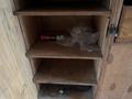 An empty wooden shelf unit with four shelves inside a vehicle cabinet containing a can and some plastic wrap on the top shelf