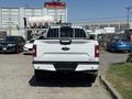 A white 2018 Ford F-150 pickup truck viewed from the rear with a visible tailgate and bed rack