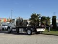 A 2017 International 4300 flatbed truck with a black frame carrying potted palm trees on the back