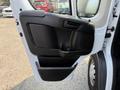 The image shows the interior door panel of a 2017 RAM Promaster featuring a plastic handle storage compartment and speaker grille