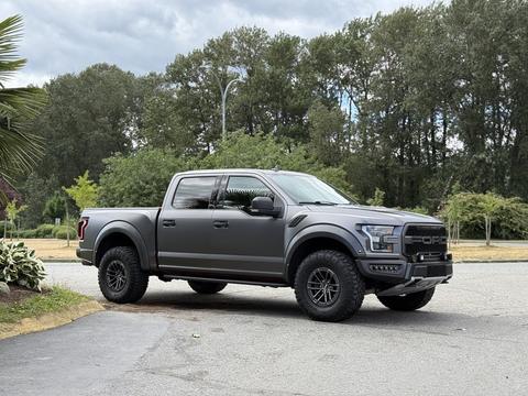 A 2019 Ford F-150 truck with a matte finish and off-road tires parked on a driveway