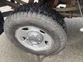 A close-up of a rugged tire mounted on a silver alloy wheel with the Ford logo visible on the center cap featuring deep treads for off-road traction