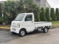 A white 2008 Suzuki Carry truck with a flatbed and a compact design parked on a driveway