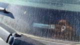 A dirty windshield of a 2021 Ford Transit displaying a vehicle identification number sticker on the glass