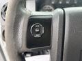 Close-up of a steering wheel control panel featuring buttons for setup info and reset on a 2014 Ford F-550
