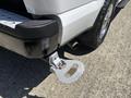 A chrome step attached to the rear of a 2019 Ford F-150 pickup truck designed for easy access to the truck bed