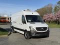 A white 2016 Mercedes-Benz Sprinter van with a high roof and black accents parked on a driveway with trees and flowers in the background