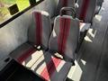 Two grey bus seats with red stripes, featuring seat belts, positioned side by side in a vehicle interior