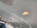The interior ceiling of a 2006 Thomas Saf-T-Liner HDX school bus with a light fixture and metal mesh texture
