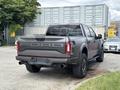A gray 2019 Ford F-150 Raptor with a prominent Ford logo on the tailgate and large off-road tires parked in a lot