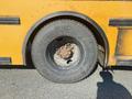 A worn black tire from a 2006 Thomas Saf-T-Liner HDX school bus with visible rust and debris around the rim
