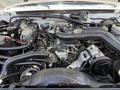 Engine compartment of a 1995 Ford F-250 showing various components like the air intake manifold hoses and pulleys