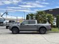 A 2019 Ford F-150 pickup truck in gray with a black grille and wheels parked alongside a palm tree