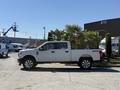A white 2017 Ford F-350 Super Duty pickup truck with a green palm tree loaded in the truck bed