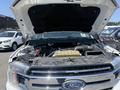 A 2019 Ford F-150 with the hood open showing the engine compartment including engine components and fluid reservoirs