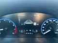 Dashboard of a 2023 Ford Bronco Sport displaying odometer reading of 3102.3 km a speed limit sign and various speedometer and fuel gauges