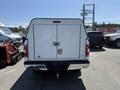 A white 2019 Ford F-150 with a closed rear door and visible tailgate featuring a hitch attached