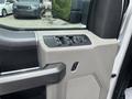 Interior door panel of a 2017 Ford F-150 featuring control buttons for windows and mirror adjustments