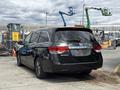 A black 2014 Honda Odyssey minivan viewed from the rear with tinted windows and a sleek design